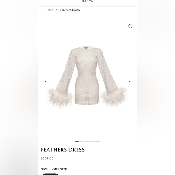 Santa Designer sparkling rhinestone dress with Feather Cuffs Exquisite statement - Picture 7 of 9